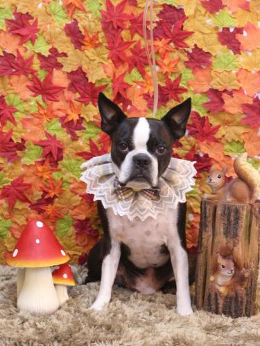 20241109ＡＤくん 